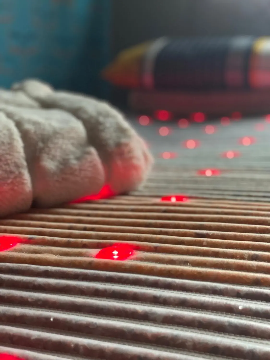 Herzen Liebe – Matratze mit Photonenenergie und negativen Ionen